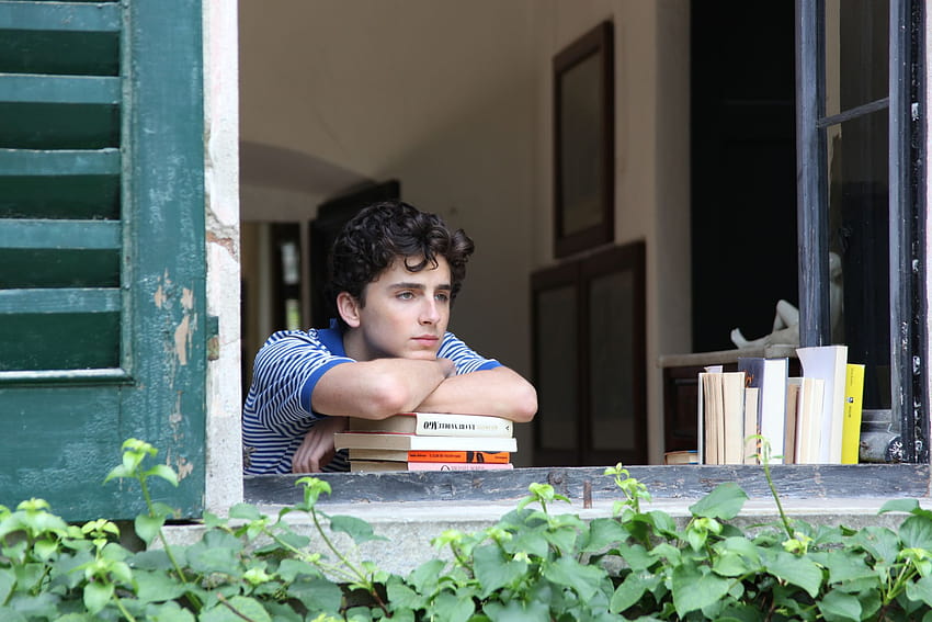 Call Me By Your Name Cmbyn Hd Wallpaper Pxfuel