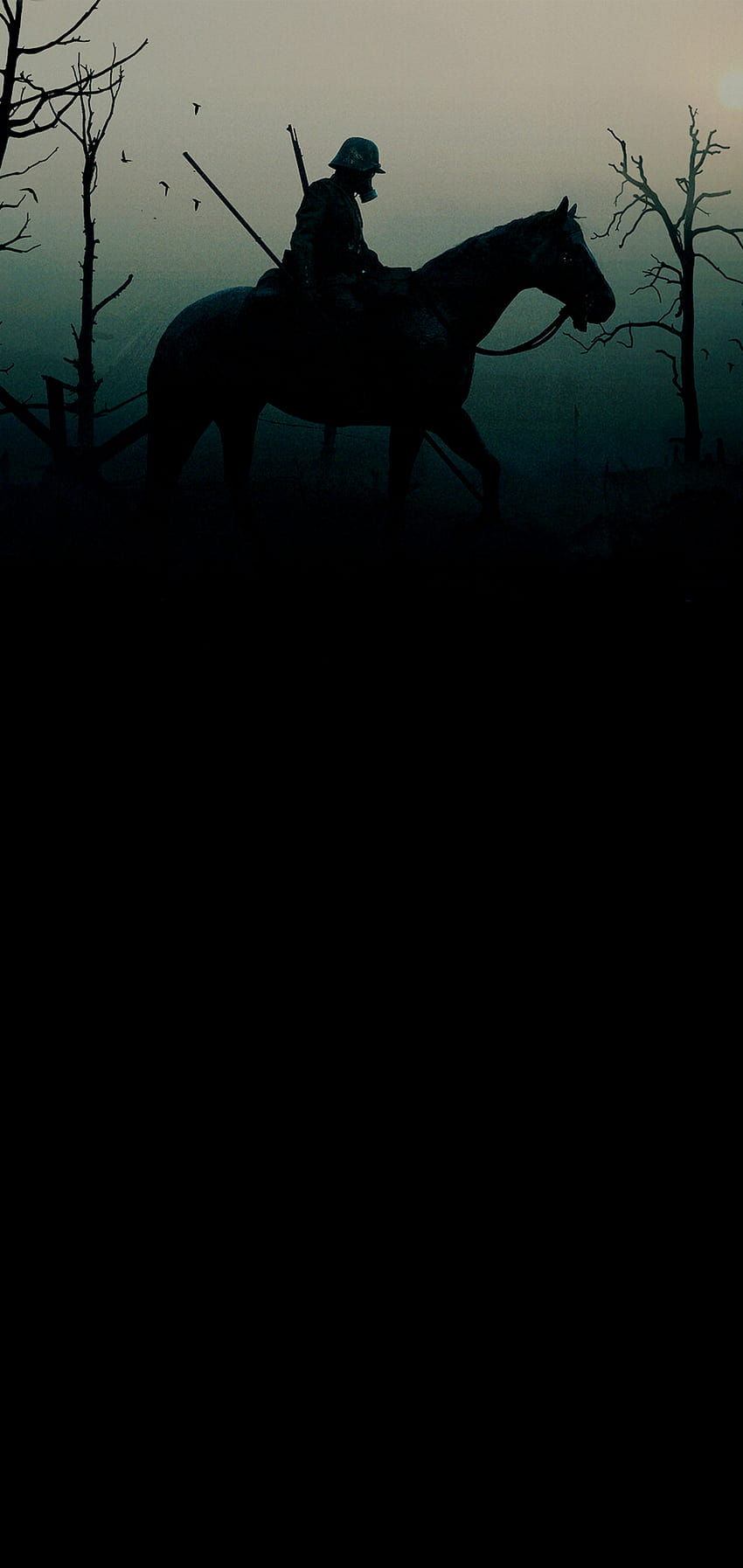 black horse iphone HD phone wallpaper