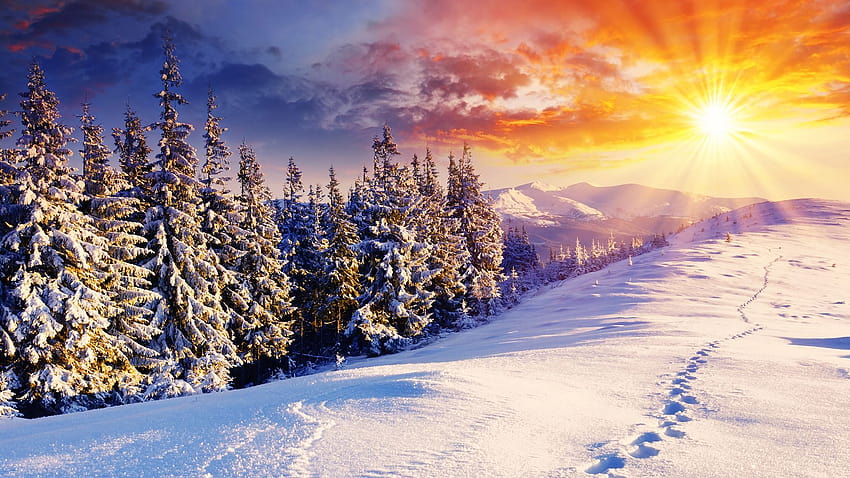 Winter HD wallpaper | Pxfuel