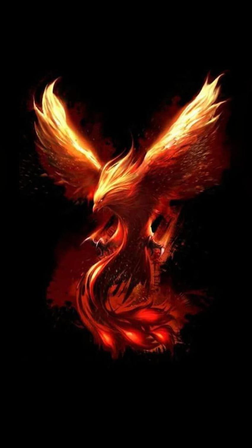 Fire Phoenix, cool flaming phoenix HD phone wallpaper