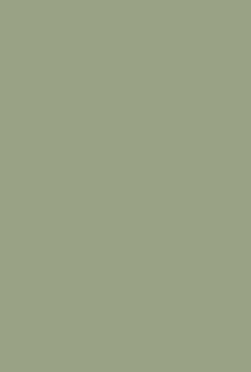 The 10 Best Paint Colors for Your Front Porch, olive green aesthetic HD phone wallpaper