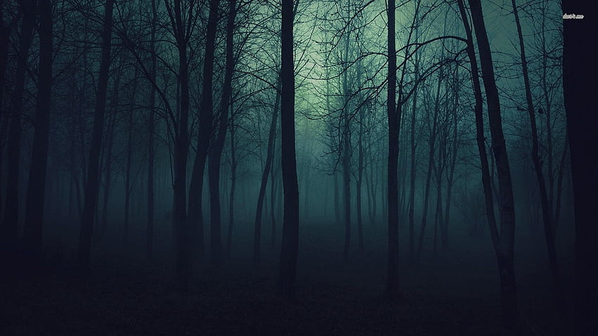 12 Creepy Forest, haunted autumn HD wallpaper