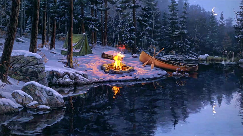Winter Camping Live HD wallpaper