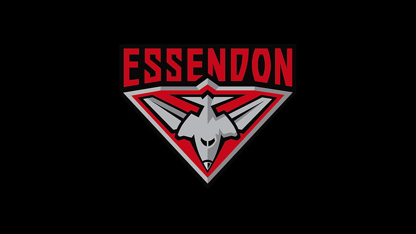Ernennungen des Führungsteams, Essendon Football Club HD-Hintergrundbild