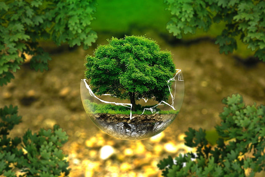 Umweltschutz Erhaltung und Ökologie HD-Hintergrundbild