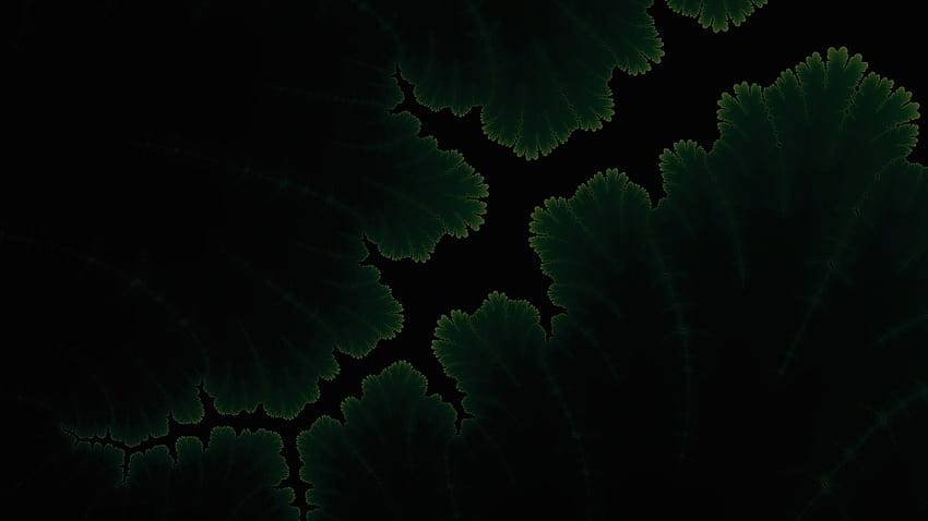 1920x1080 緑の植物 暗い Amoled ノートパソコン フル、 高画質の壁紙