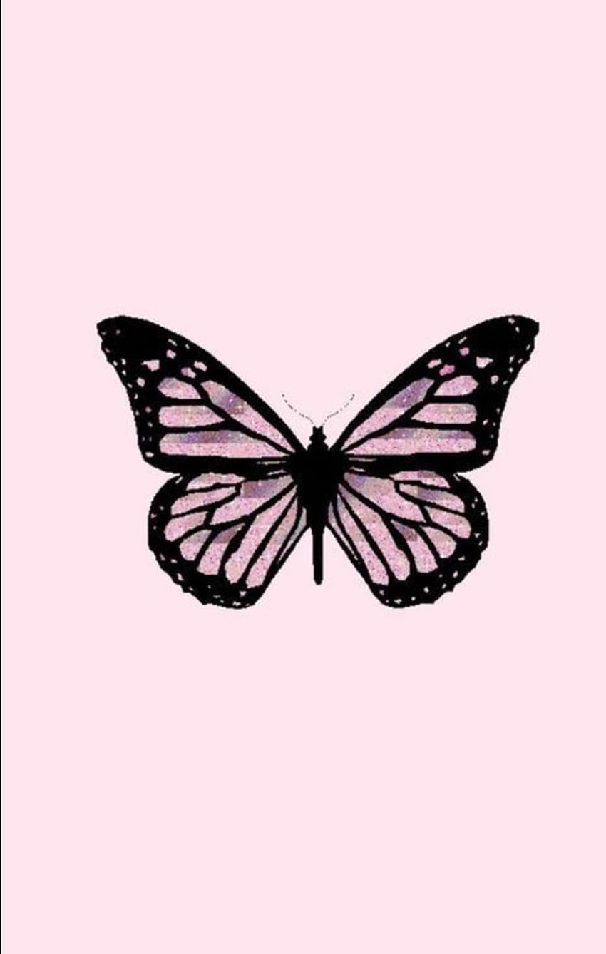 butterflies, and pink, cute aesthetic butterfly HD phone wallpaper