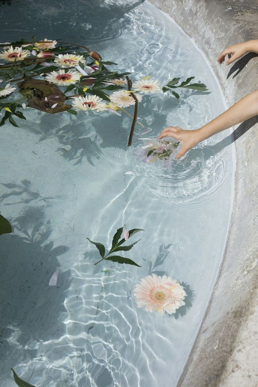ดอกไม้ในอ่างอาบน้ำในปี 2020 สุนทรียศาสตร์สีฟ้าพาสเทลวินเทจ วอลล์เปเปอร์โทรศัพท์ HD