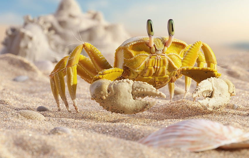 sea, beach, summer, crab, art, crab, Mr HD wallpaper