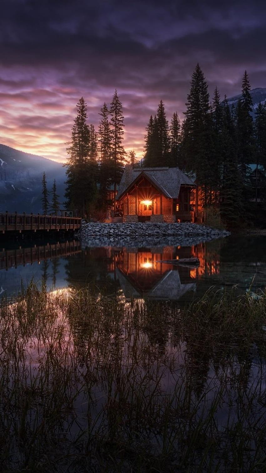 Yoho National Park, Kanada, Emerald Lake, Bäume, Winter Emerald Lake HD-Handy-Hintergrundbild