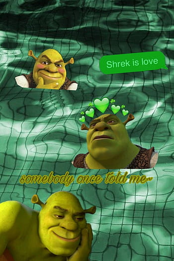 Shrek Meme Funny Wallpaper 74150 1920x1080px