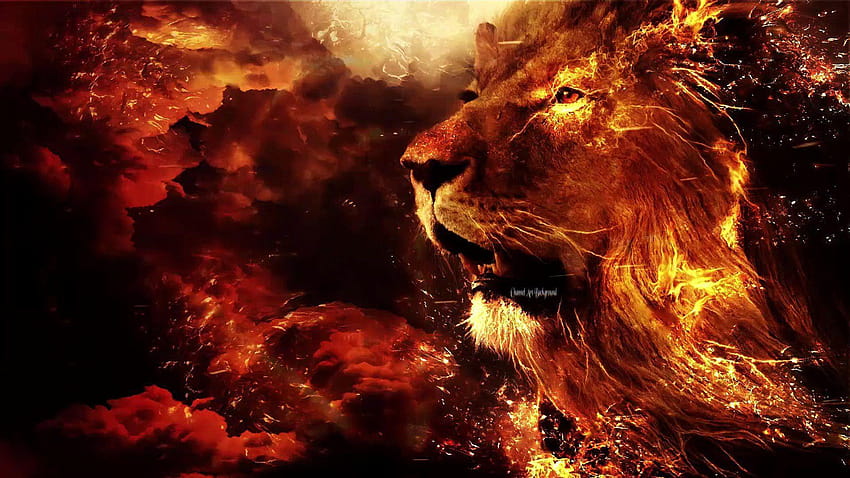 Effet vidéo d'animation d'arrière-plans de mouvement de feu de lion, lions brûlants Fond d'écran HD