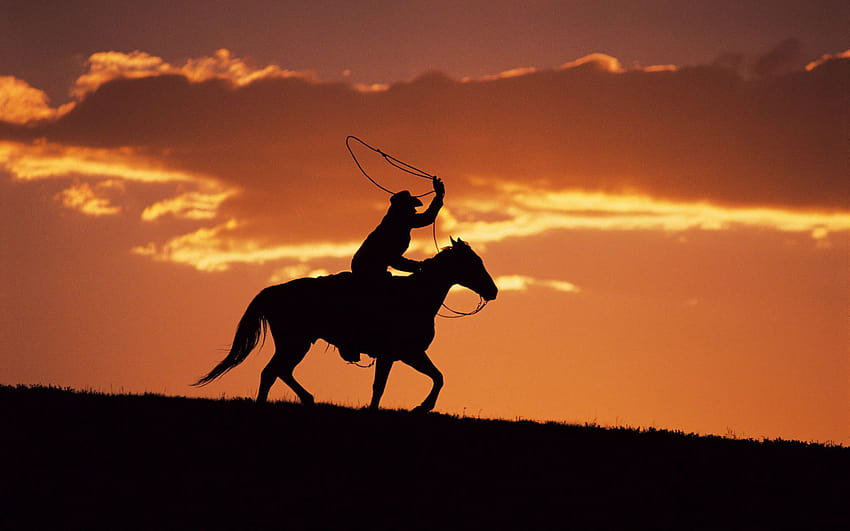 Western Cowboy at Sunset [1920x1200] for your , Mobile & Tablet, western girl HD wallpaper