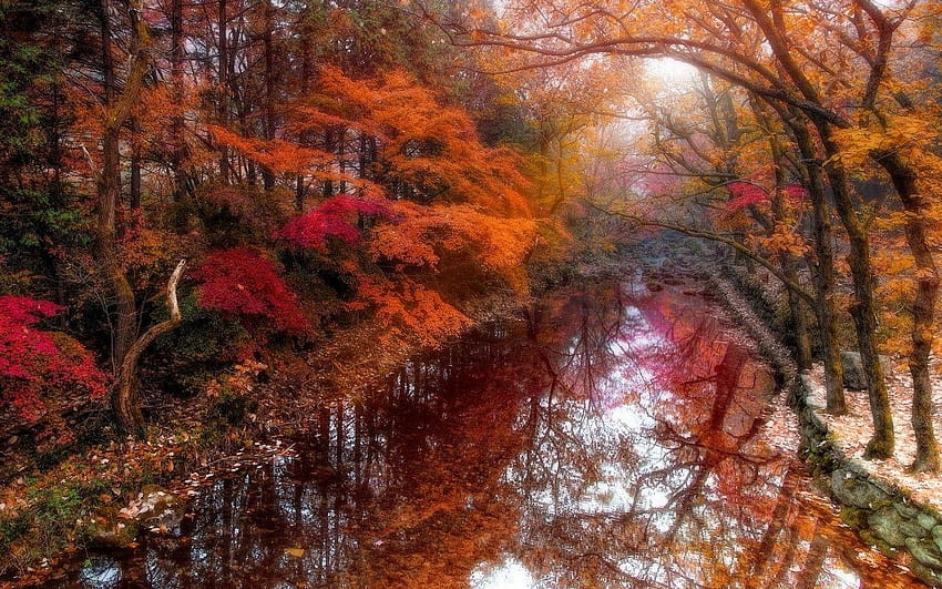 Korea Fall, autumn tranquility HD wallpaper