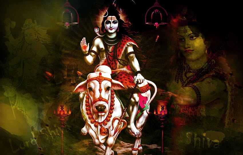 Lord Shiva with Nandi for shivaratri HD wallpaper