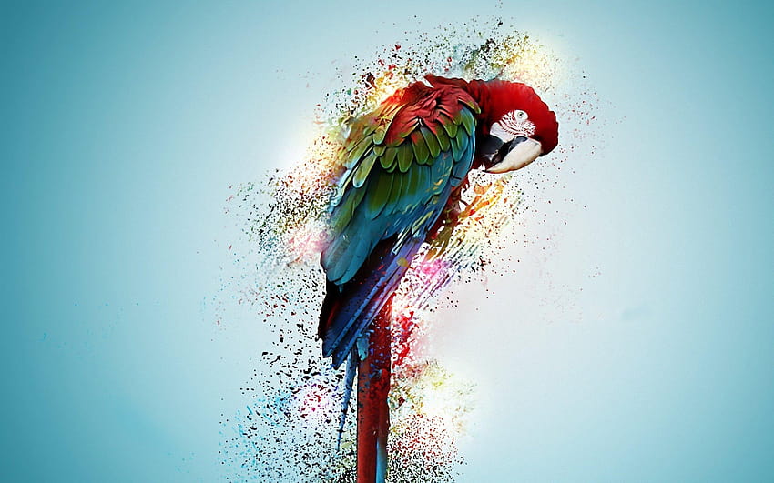macaw, Parrot, Bird, Tropical, Psychedelic, Artwork, Art, bird art HD wallpaper