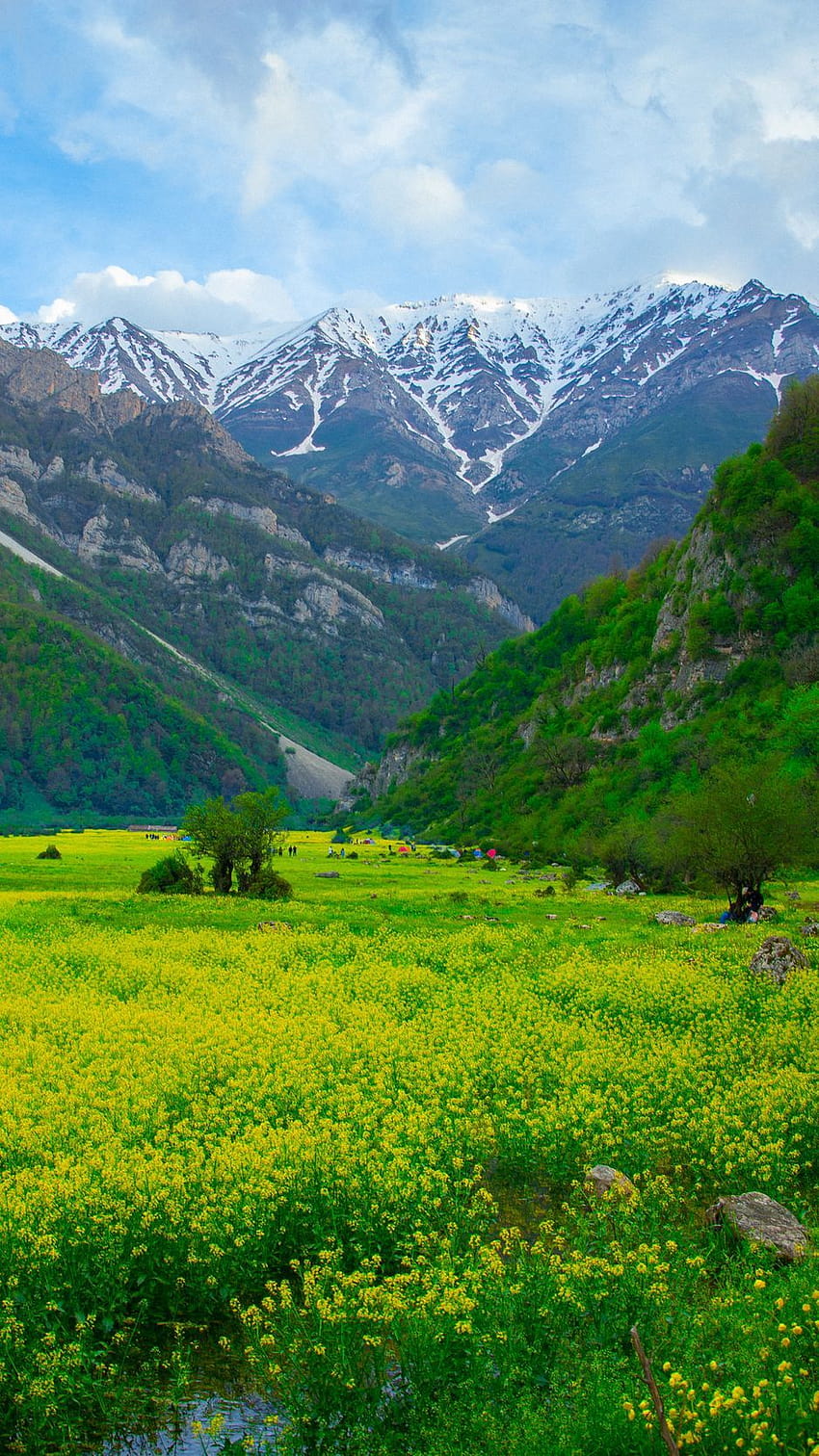 938x1668 meadow, mountains, flowers, landscape, mountain flowers phone HD phone wallpaper