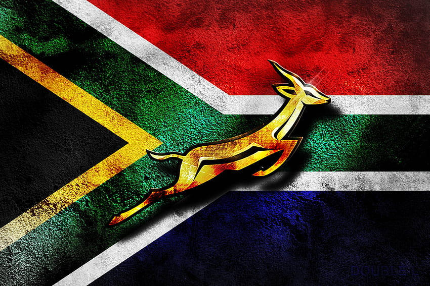 bandiera sudafricana con logo Rugby [2560x1707] per il tuo logo africa, cellulare e tablet Sfondo HD