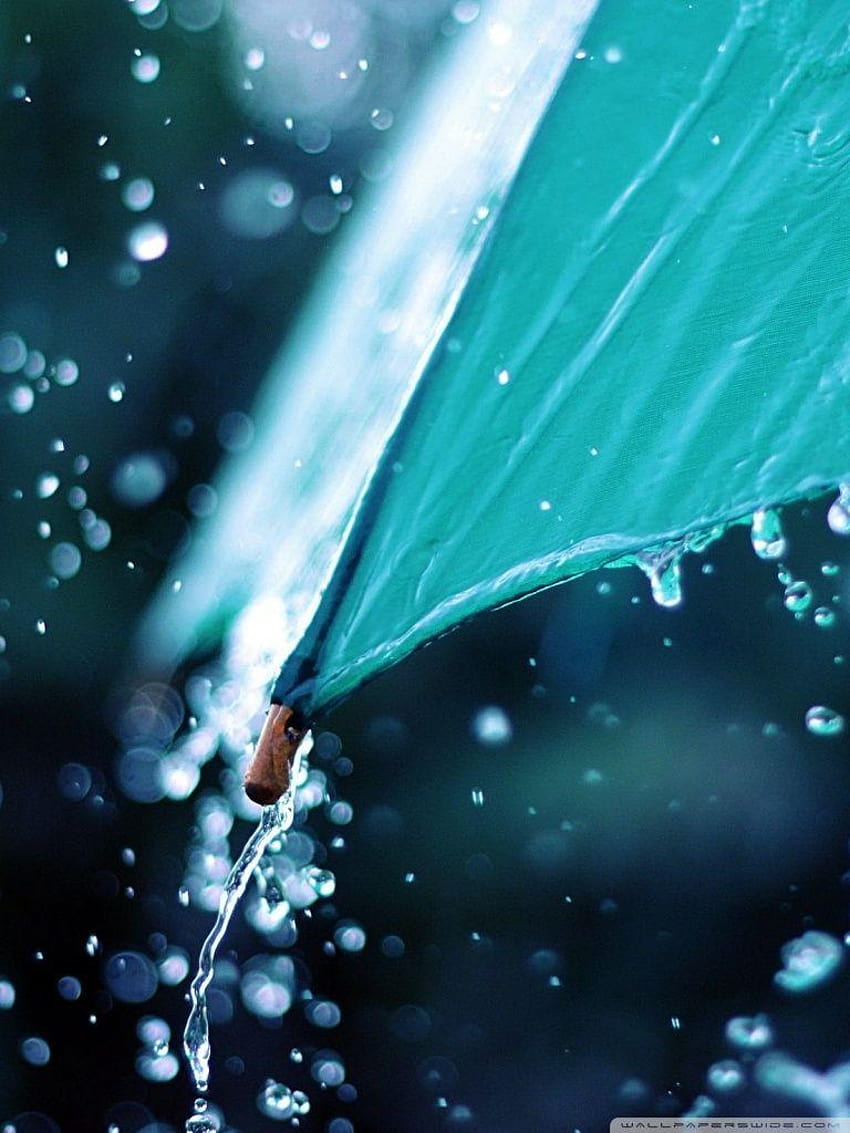 Rain Drops Over Umbrella ❤ for Ultra, rain for mobile HD phone wallpaper