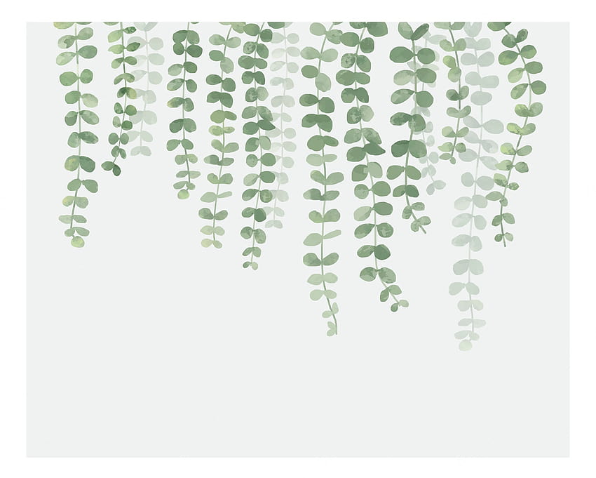 Vegetación, dibujo de plantas. fondo de pantalla