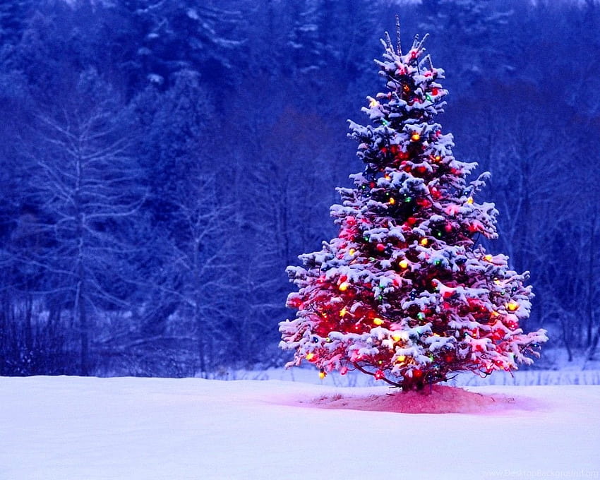 Animated Christmas Winter Christmas Tree ... Backgrounds, winter outside HD wallpaper