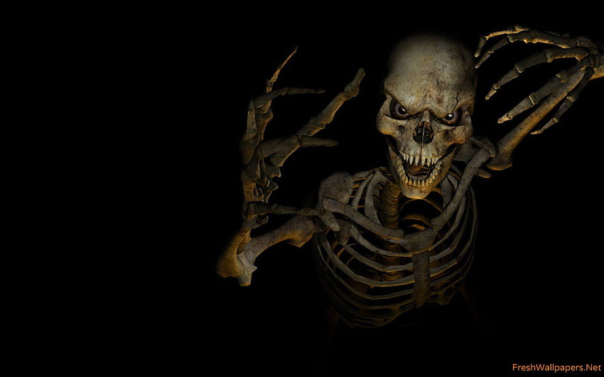 Cool Skeleton, esqueleto estético. fondo de pantalla