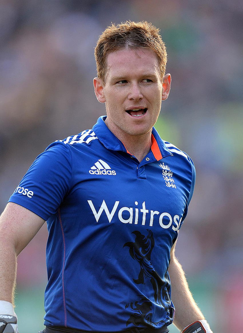 It was a magnificent win, eoin morgan HD phone wallpaper