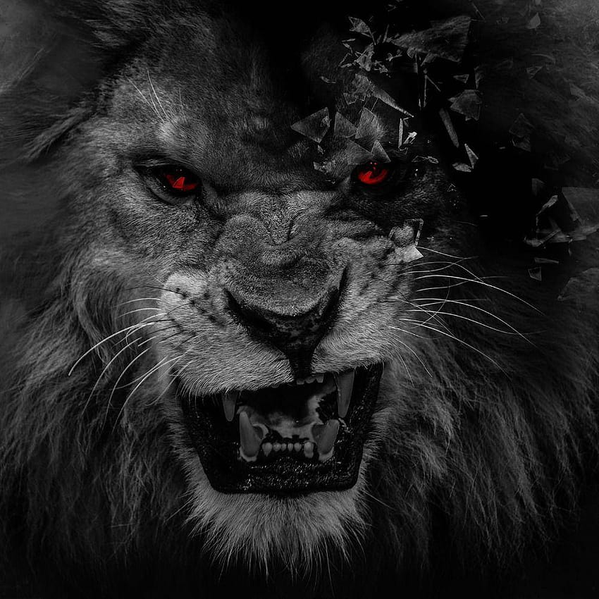 Black Lion With Red Eyes, scary lions HD phone wallpaper