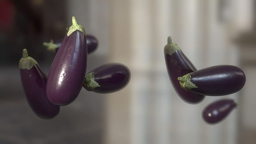 Eggplant, brinjal HD wallpaper