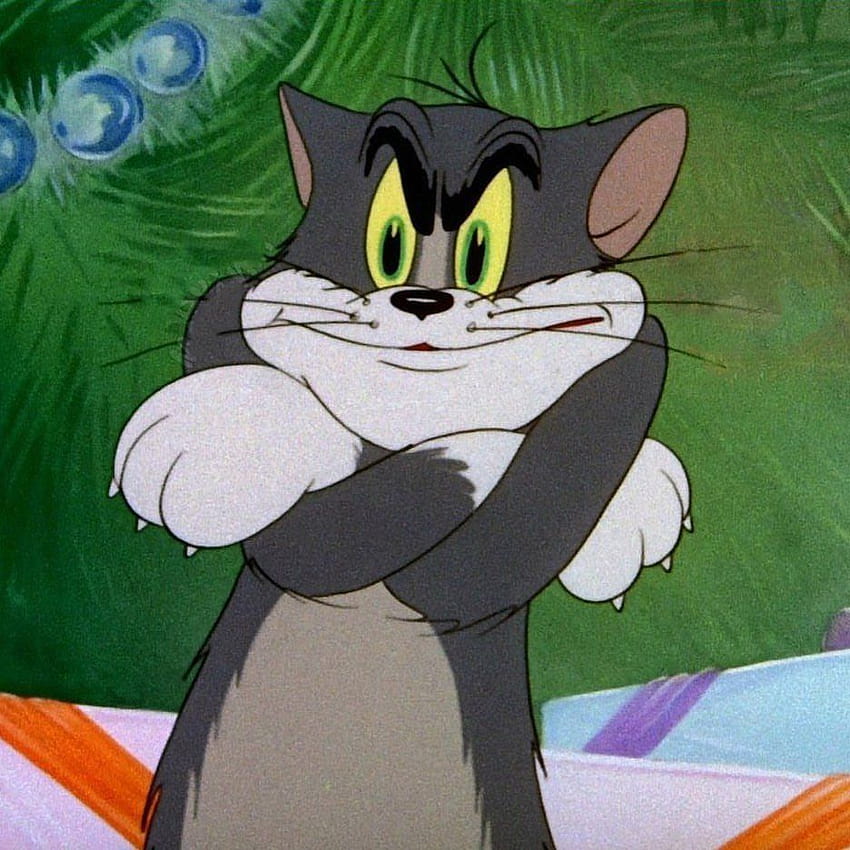 Hallo! Der Sommer hat für mich offiziell begonnen! Dafür werde ich aktiver sein ⠀⠀⠀⠀⠀⠀⠀ ⠀⠀⠀⠀⠀⠀⠀, Tom und Jerry Memes HD-Handy-Hintergrundbild