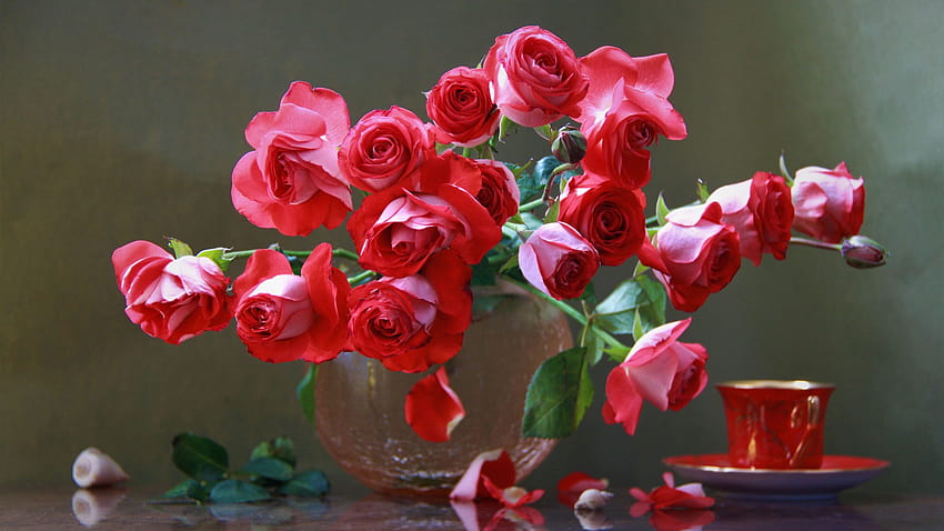 Red roses bouquet vase cup Ultra for : 13 HD wallpaper