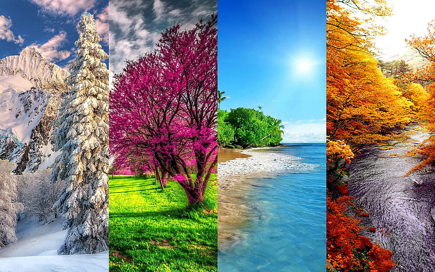 4 seasons, winter, spring, summer, autumn, seasons concepts with resolution 3840x2400. High Quality, all 4 seasons HD wallpaper