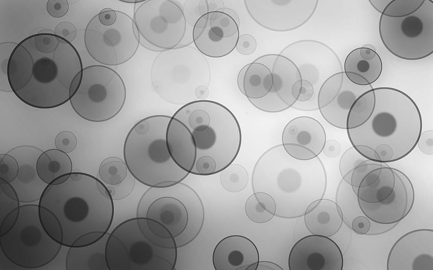 dots and circles, gray colour HD wallpaper