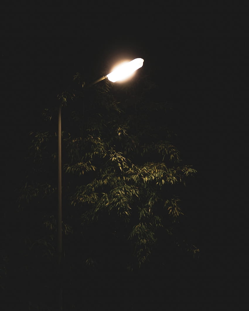 75 Street Light [HQ], lampione Sfondo del telefono HD