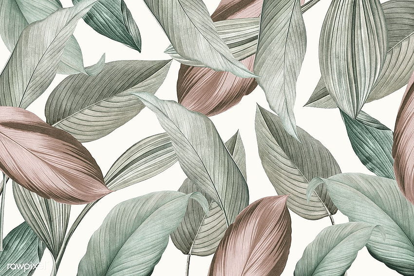 premium illustration of Green tropical leaves patterned, leaf HD wallpaper