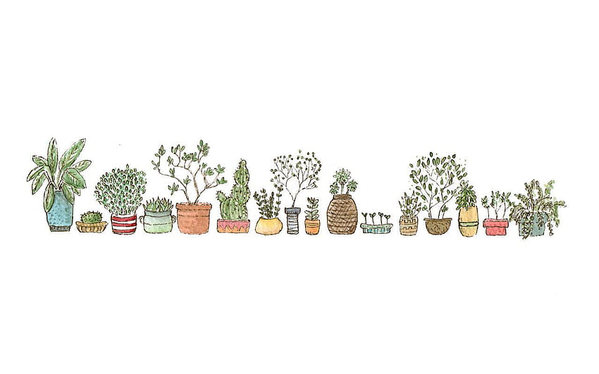 Cute Plant posted by Sarah Johnson, plant drawing HD wallpaper