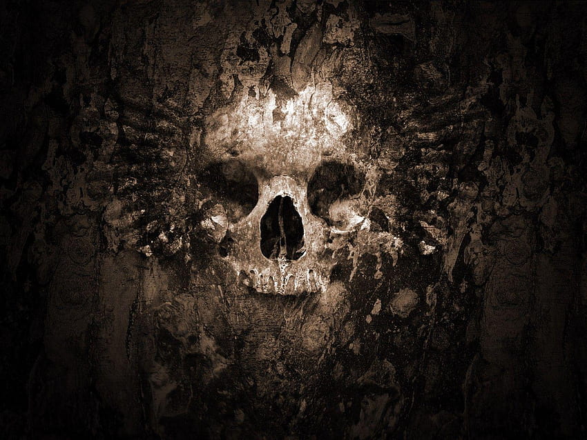 Skeleton Head HD wallpaper