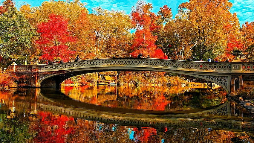 Central Park Fall, central park autumn HD wallpaper