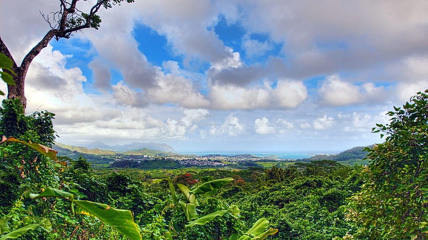 Forests: Panoramic View Kaneohe Bay Hawaii Forest Clouds Panorama, background panorama HD wallpaper