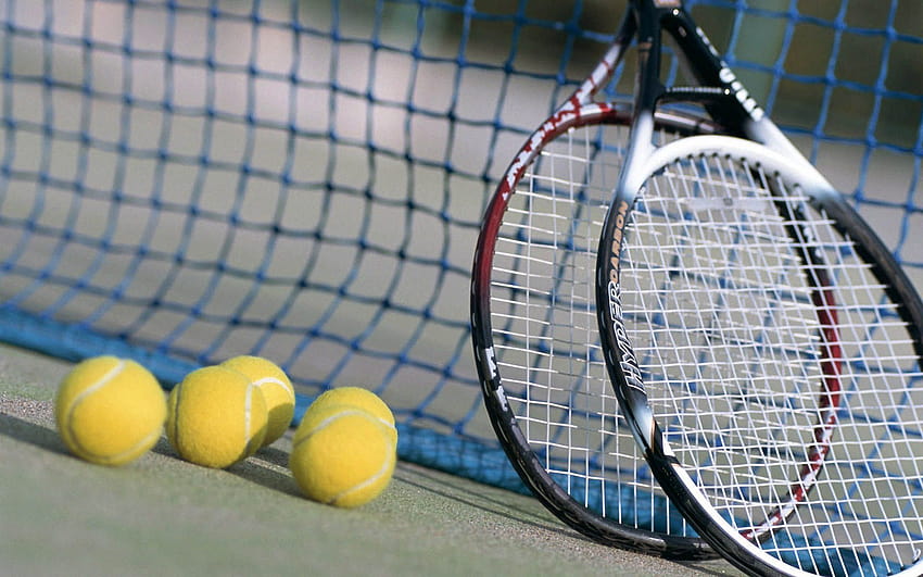 Tennis Racket And Net HD wallpaper