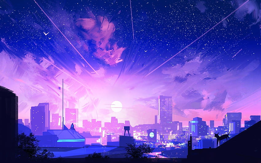 Night Time Aesthetic, aesthetic night city pc HD wallpaper