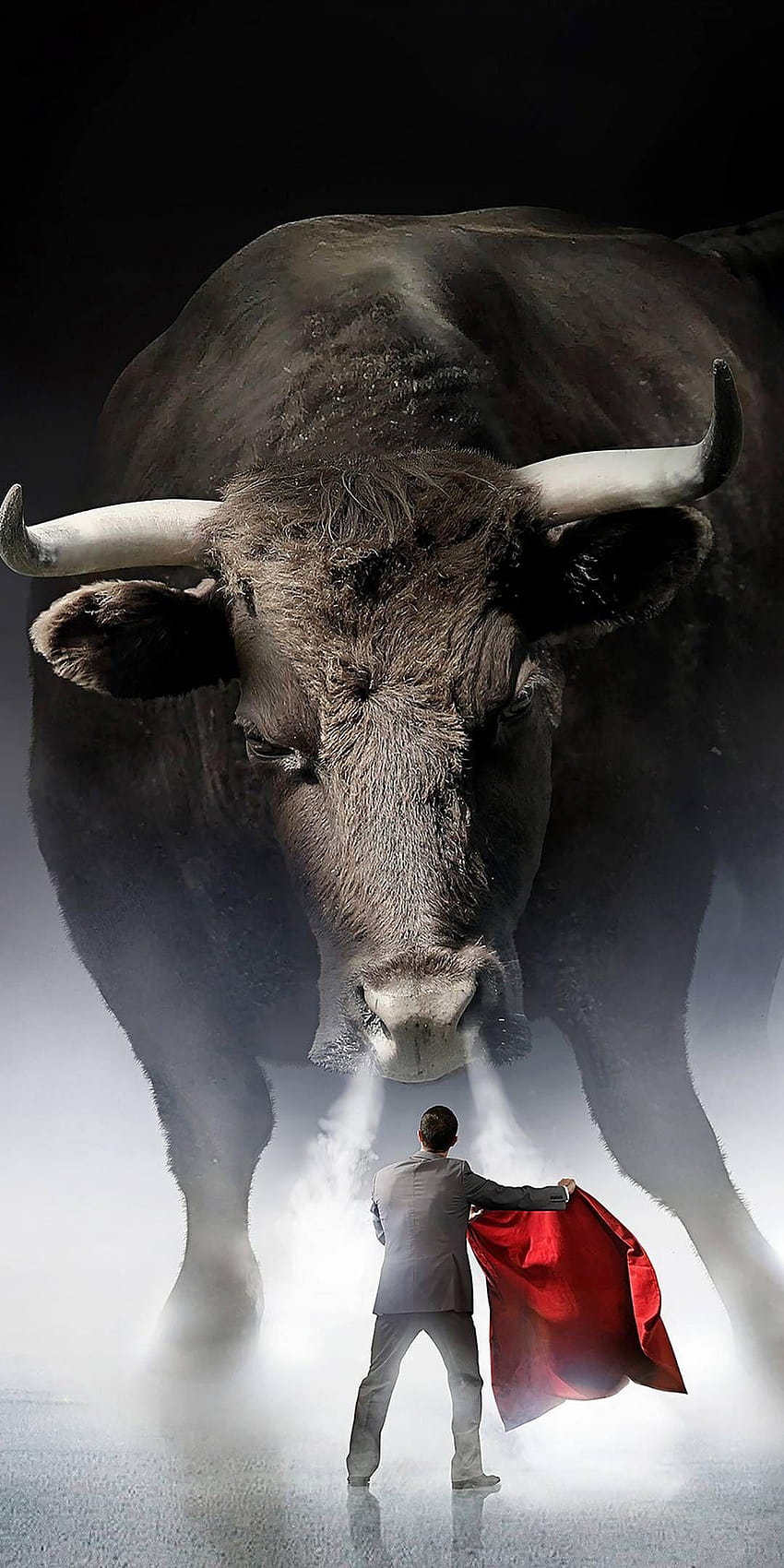 Bull fight in 2019, bull mobile HD phone wallpaper