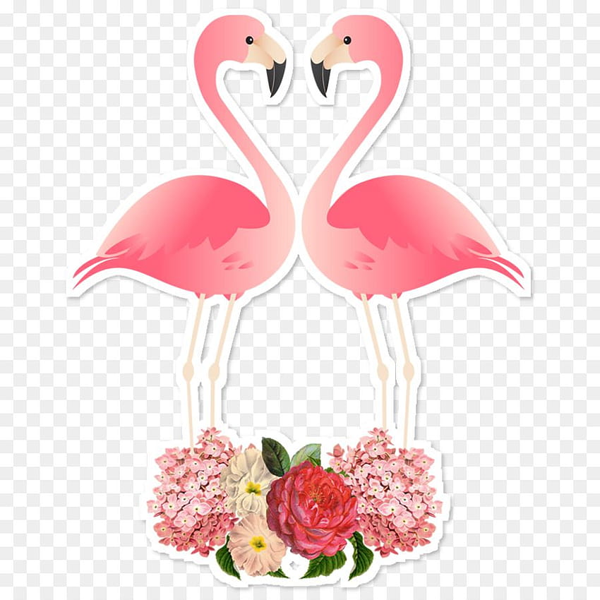 Watercolor Pink Flowers png, st patricks day flamingos HD phone wallpaper