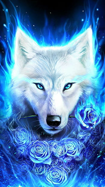 Download Galaxy Cute Wolf Wallpaper  Wallpaperscom