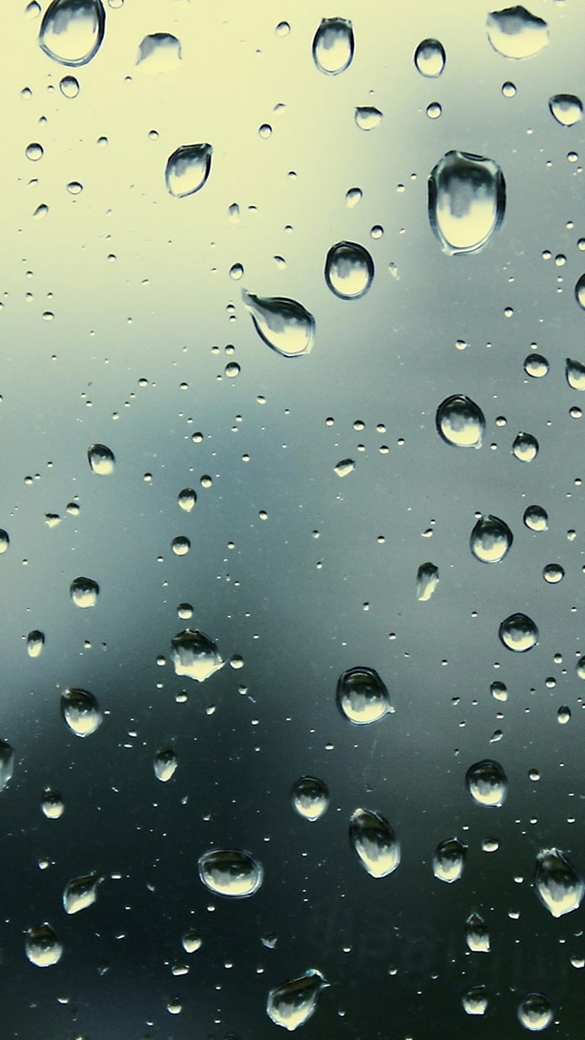 Drop on Dog, iphone water drops HD phone wallpaper | Pxfuel