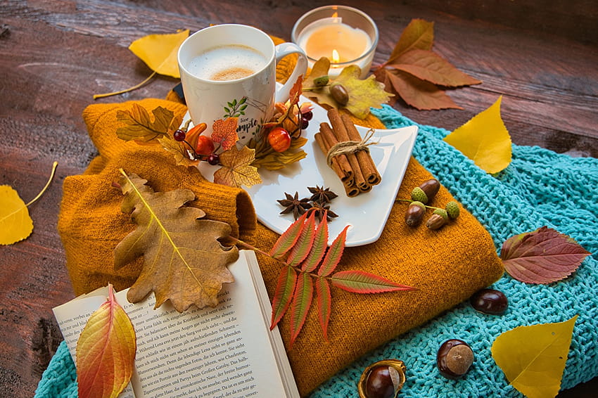 Liście Żołądź Jesień Kawa Natura Kubek Książka Orzechy, jesień i książki Tapeta HD