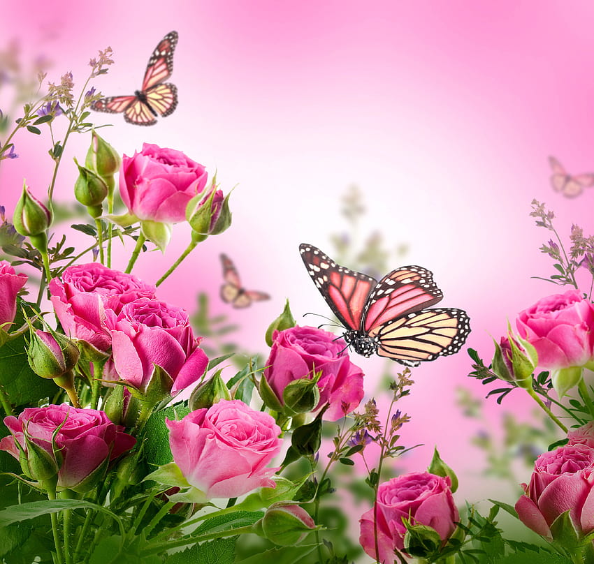 Flower Butterfly ... afari, cute aesthetic pink butterfly HD wallpaper