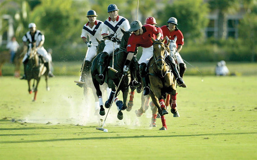 horse polo HD wallpaper