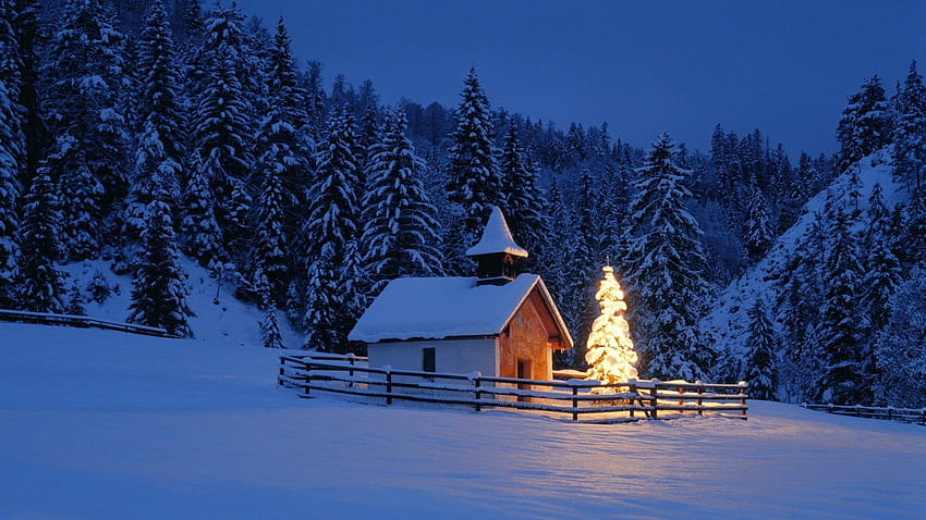 Schneebedecktes Haus in der Nähe von Kiefern in der Nacht, Haus, Kiefer, Weihnachtskiefern HD-Hintergrundbild
