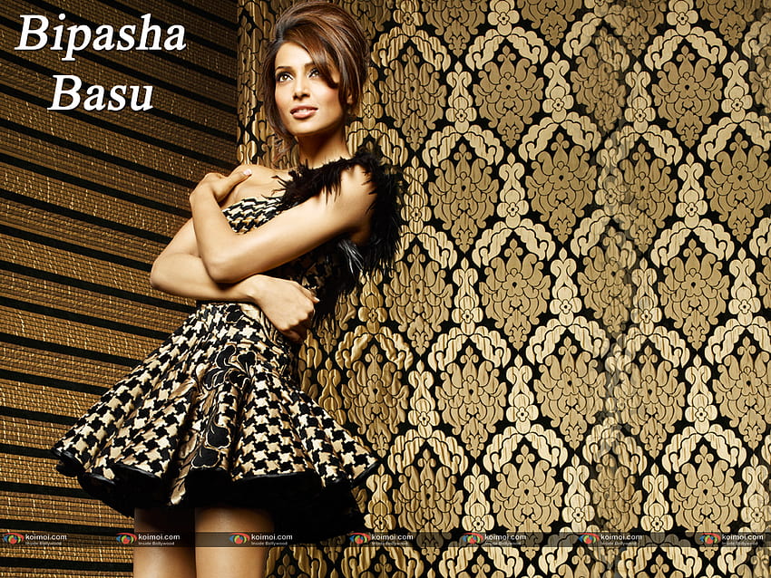 Bipasha Basu 2 HD wallpaper